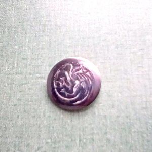 ⚜️Game of Thrones House Crest Targaryen Pin Back Button